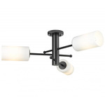 Crown Point Three Ceiling Light - Matte Black / Matte White