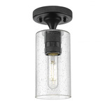 Crown Point Ceiling Light - Matte Black / Clear Seedy