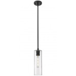 Crown Point Long Stem Hung Pendant - Matte Black / Clear Seedy
