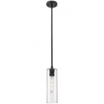 Crown Point Long Stem Hung Pendant - Matte Black / Clear
