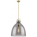 Newton Bell Stem Hung Pendant - Brushed Brass / Smoked