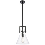 Newton Cone Stem Hung Pendant - Matte Black / Clear