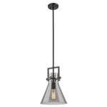 Newton Cone Stem Hung Pendant - Matte Black / Smoked