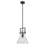 Newton Cone Stem Hung Pendant - Matte Black / Clear Seedy