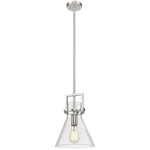 Newton Cone Stem Hung Pendant - Satin Nickel / Clear Seedy