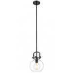 Newton Sphere Stem Hung Pendant - Matte Black / Clear