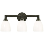Wilton Bathroom Vanity Light - Bronze / White Glass