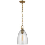 Andros Pendant - Antique-Burnished Brass / Clear