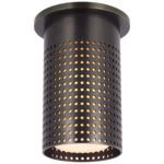 Precision Monopoint Ceiling Light - Bronze / White