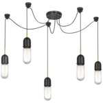 Junio Swag Multi Light Chandelier - Bronze / Hand-Rubbed Antique Brass / Clear