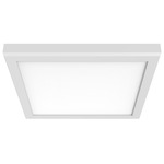 Blink Pro Plus Color Select Ceiling Light - White / Diffused Lens