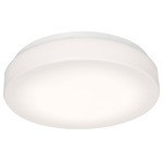 Cirrus Color-Select Ceiling Light - White / White