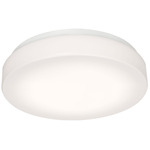 Cirrus Color-Select Ceiling Light - White / White
