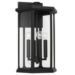 Walton Outdoor Wall Lantern - Black / Clear