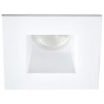 Midway 2IN SQ Color-Select HO Downlight Trim / Housing - White