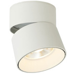 Arc Adjustable Spot Light - Matte White / Clear