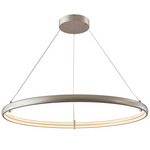 Sling Ring Pendant - Titanium Silver / White