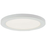 Trix Ceiling Light - White / Frosted