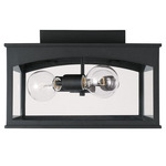 Burton Outdoor Ceiling Light - Black / Clear