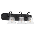 Fort Worth Clear Seeded Bathroom Vanity Light - Black / Clear Seeded