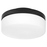 Round Damp Location Fan Light Kit - Matte Black / Satin Opal