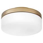 Round Damp Location Fan Light Kit - Aged Brass / Satin Opal