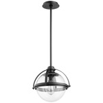 Meridian Globe Pendant - Textured Black / Clear