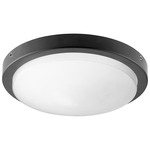 Titus Fan Light Kit - Matte Black