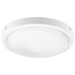 Titus Fan Light Kit - White