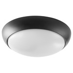 Fury Fan Light Kit - Matte Black / White