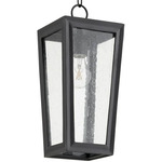 Bravo Outdoor Pendant - Textured Black / Clear Seedy