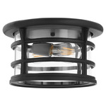 Haley Outdoor Ceiling Light - Textured Black / Clear