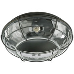 Hudson Wet Location Fan Light Kit - Old World / Clear Hammered