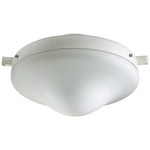 Wet Location Dome Fan Light Kit - White / White / Satin Opal