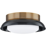 Arnie Ceiling Light - Patina Brass / Black