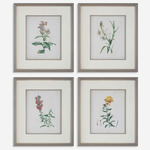 Heirloom Blooms Study Framed Prints Set of 4 - Gray / Muted Color Tones