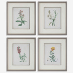 Heirloom Blooms Study Framed Prints Set of 4 - Gray / Muted Color Tones