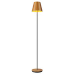 Conical Floor Lamp - Teak