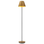 Facet Cone Floor Lamp - Louro Freijo