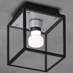 Caged Wet Wall / Ceiling Light - Steel / White