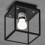 Caged Wet Wall / Ceiling Light - Black / Steel / White