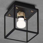 Caged Wet Wall / Ceiling Light - Black / Brass / White