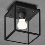 Caged Wet Wall / Ceiling Light - Black / Gunmetal / White