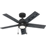 Erling Ceiling Fan with Light - Matte Black / Salted Black