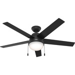 Anslee Ceiling Fan with Light - Matte Black / Matte Black / Salted Black