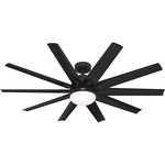 Overton Outdoor Ceiling Fan with Light - Matte Black / Matte Black