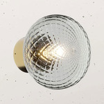 Bloom Wall Sconce - Brass / Clear Gray