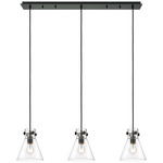 Newton Cone Linear Multi Light Pendant - Matte Black / Clear