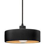 Dish Carbon Pendant - Matte Black / Carbon / Champagne Gold