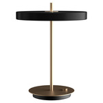 Asteria Table Lamp - Brass / Black